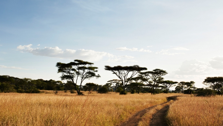 Faru Faru River Lodge - Pirschfahrt